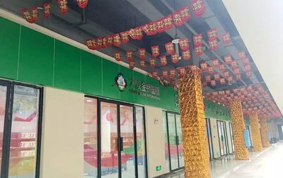 大汉金桥食品百货城 新商业时代湖南商贸物流与百货零售的融合之路